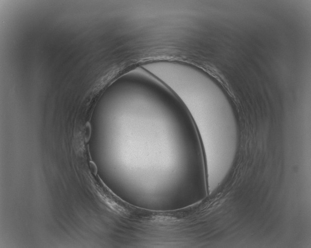 X0000060790393200511101040