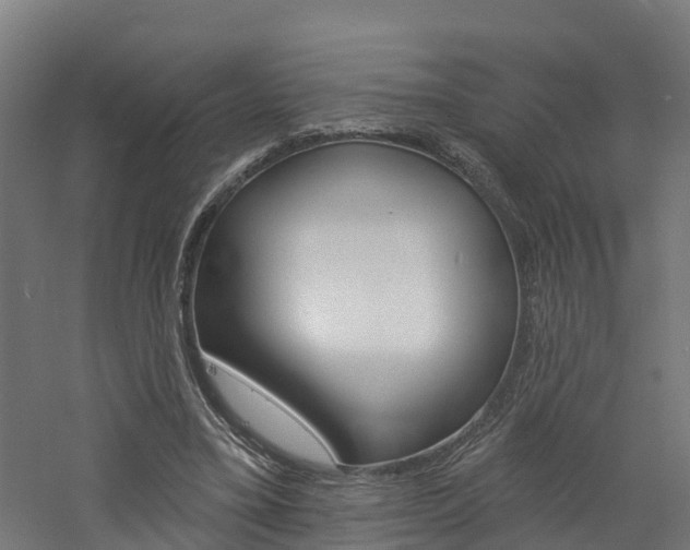 X0000060790395200511101040