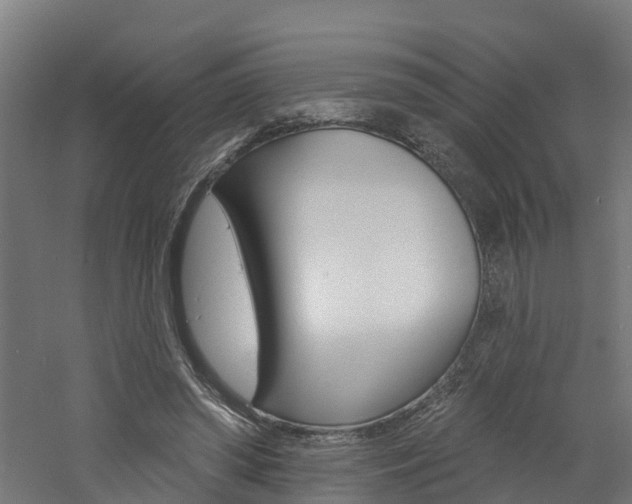 X0000060790398200511101040