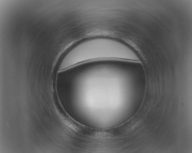 X0000060790399200511101040