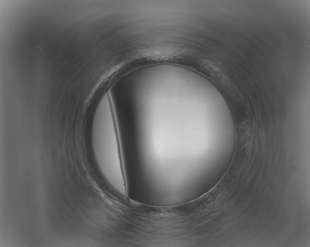 X0000060790400200511101040