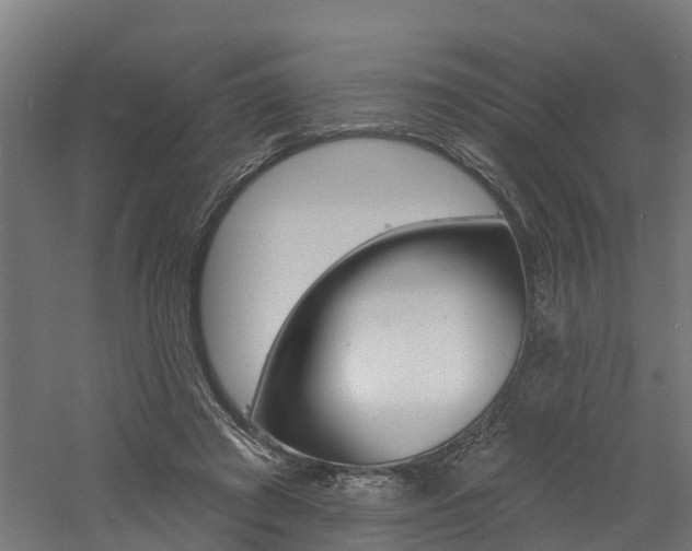 X0000060790401200511101040