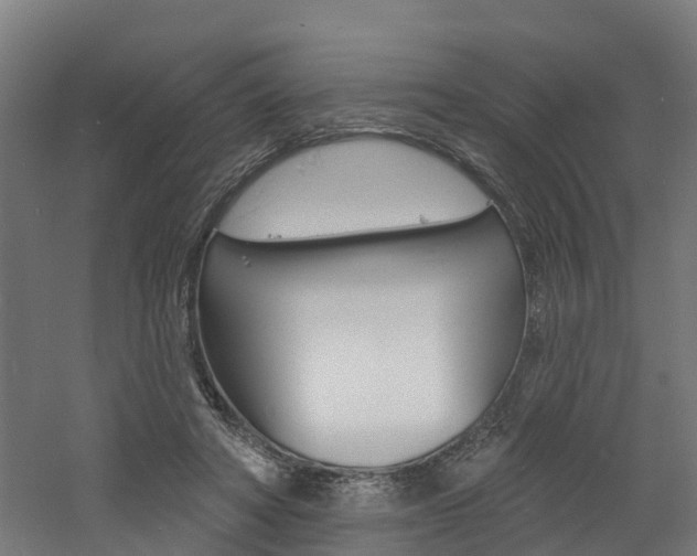 X0000060790402200511101040