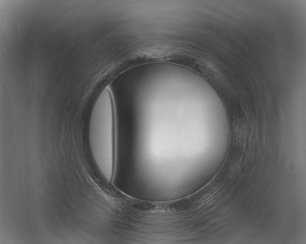 X0000060790404200511101039