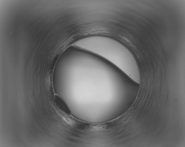 X0000060790405200511101039