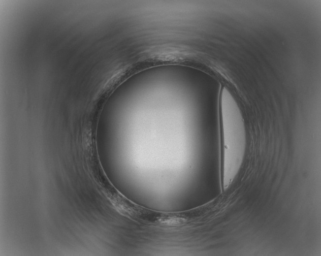 X0000060790407200511101039