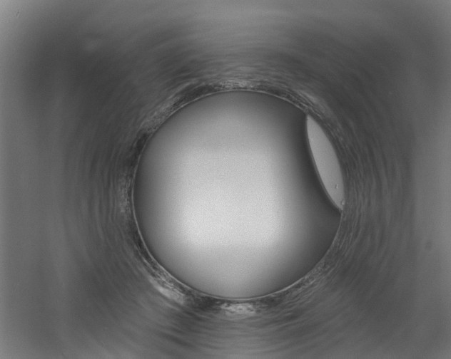 X0000060790409200511101039