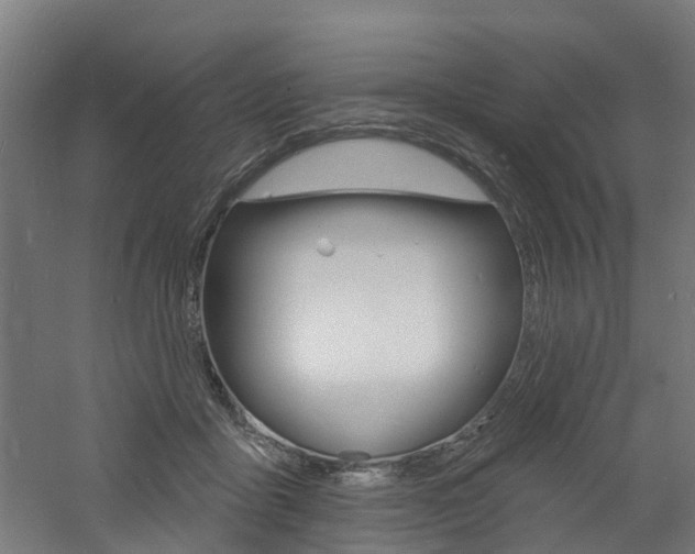 X0000060790411200511101039