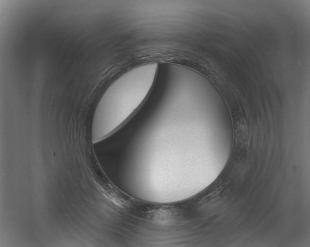 X0000060790412200511101039