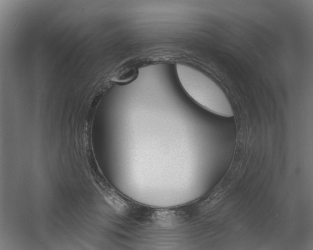 X0000060790413200511101039