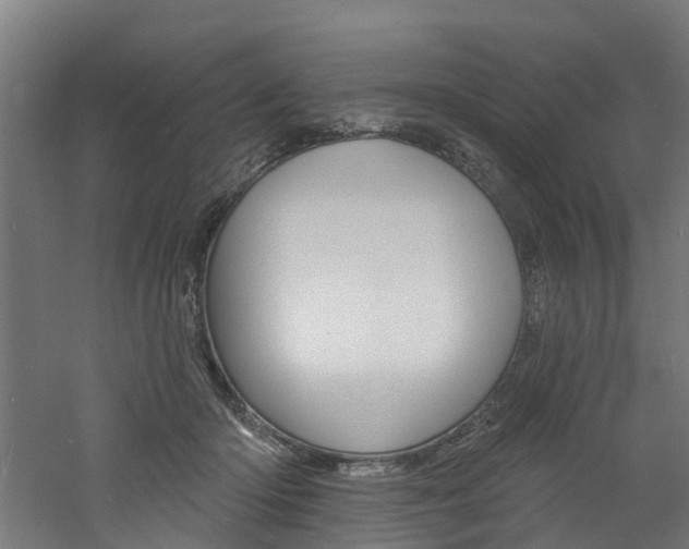 X0000060790414200511101039