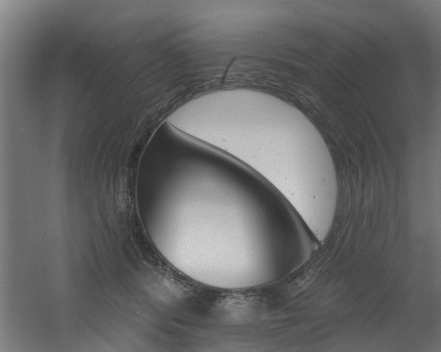 X0000060790416200511101039