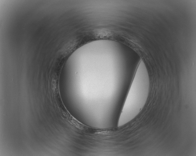 X0000060790417200511101039