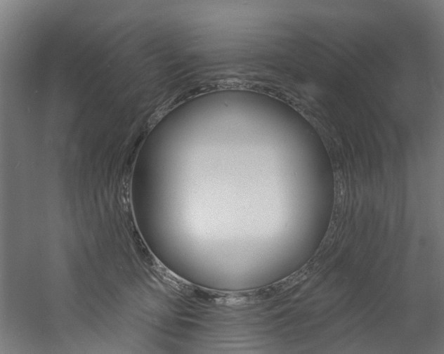 X0000060790419200511101039