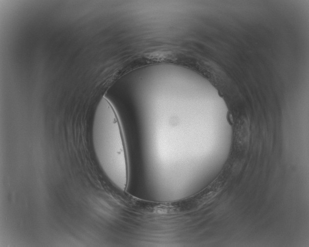 X0000060790420200511101039