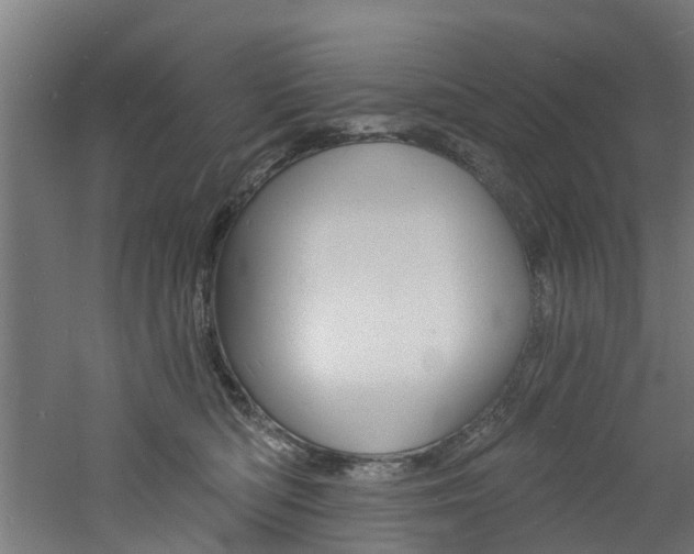 X0000060790422200511101039