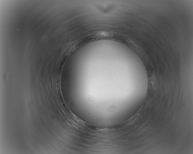 X0000060790423200511101039