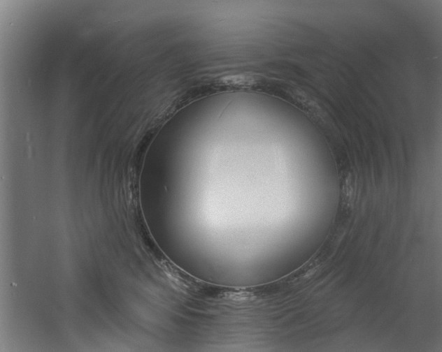 X0000060790424200511101039