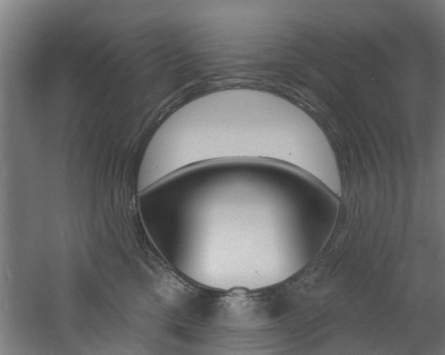 X0000060790425200511101039