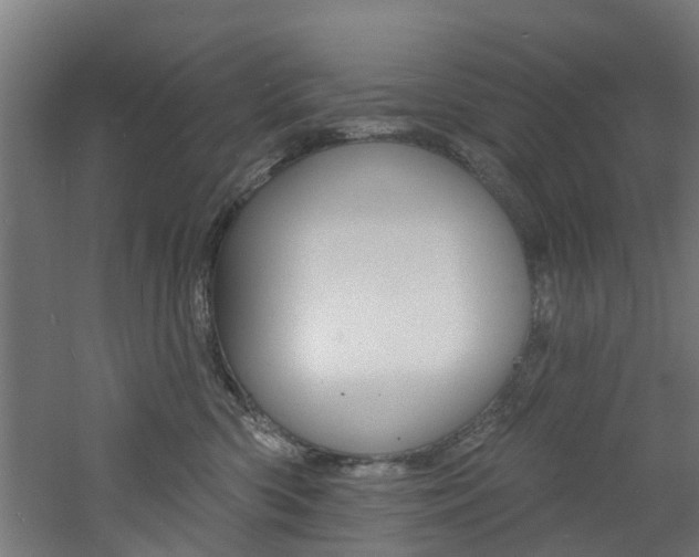 X0000060790426200511101039