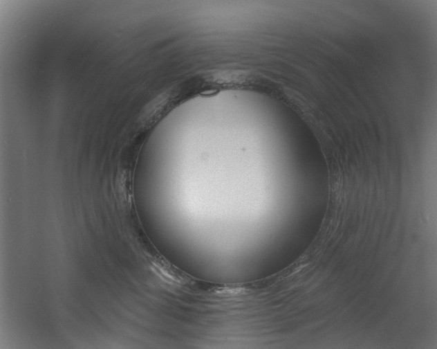 X0000060790428200511101039