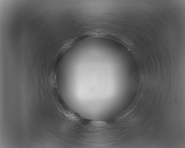 X0000060790429200511101039