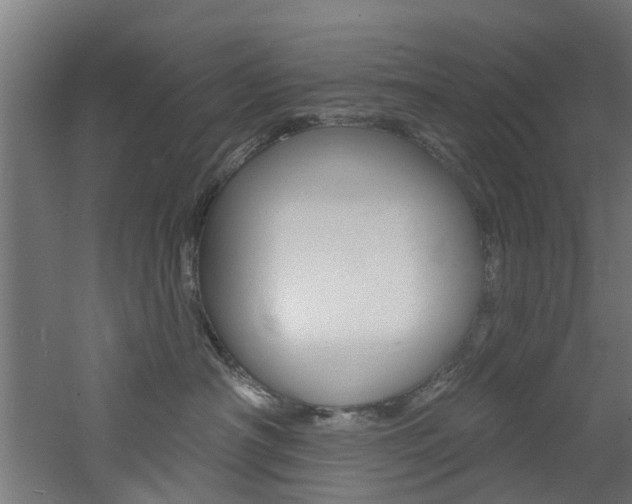 X0000060790430200511101039