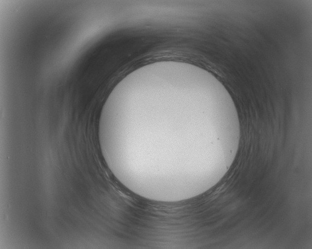 X0000060790431200511101039