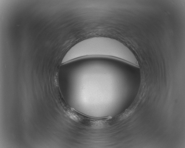 X0000060790432200511101039