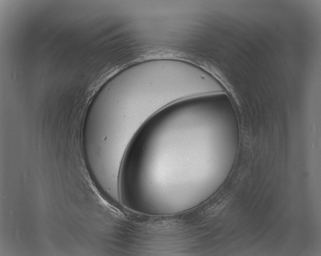 X0000060790433200511101038