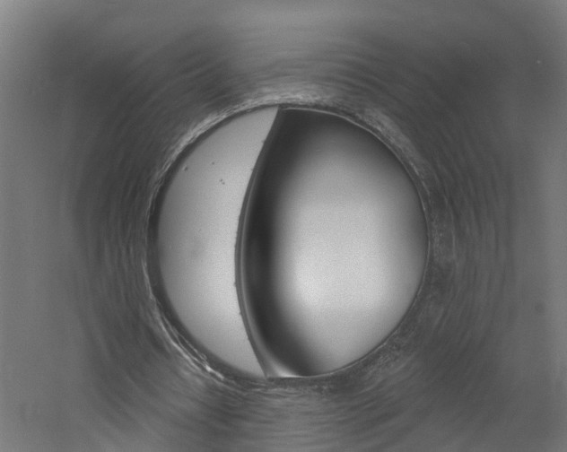 X0000060790434200511101038