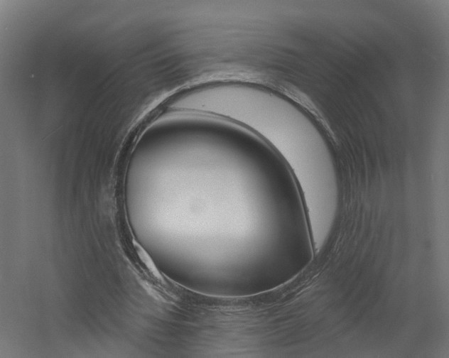 X0000060790436200511101038