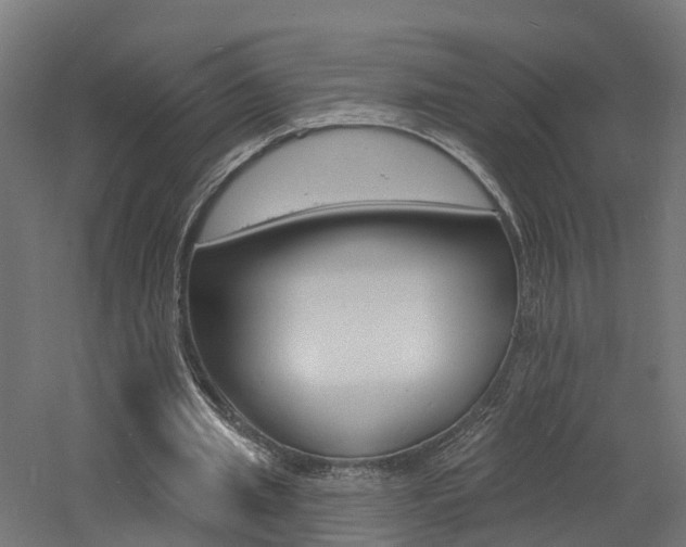 X0000060790437200511101038