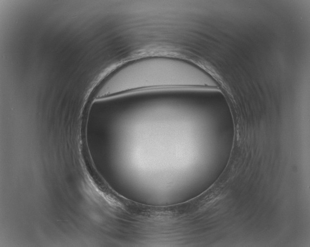 X0000060790438200511101038