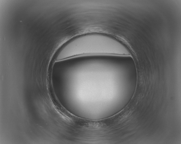 X0000060790439200511101038