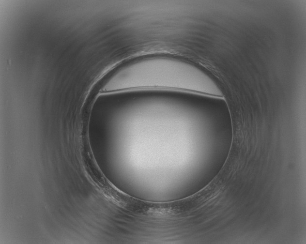 X0000060790440200511101038