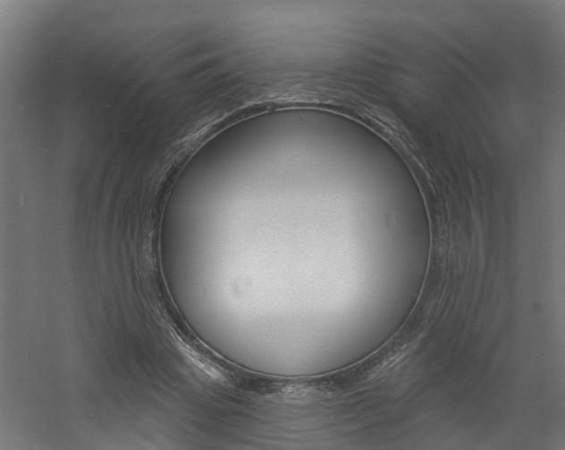 X0000060790441200511101038