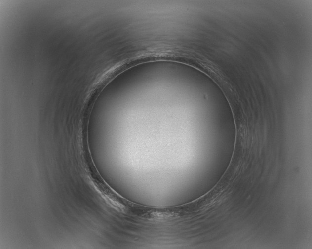 X0000060790442200511101038