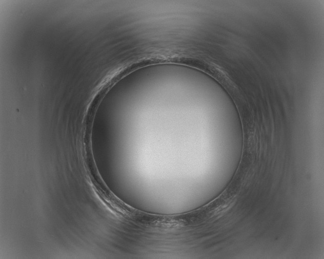 X0000060790443200511101038