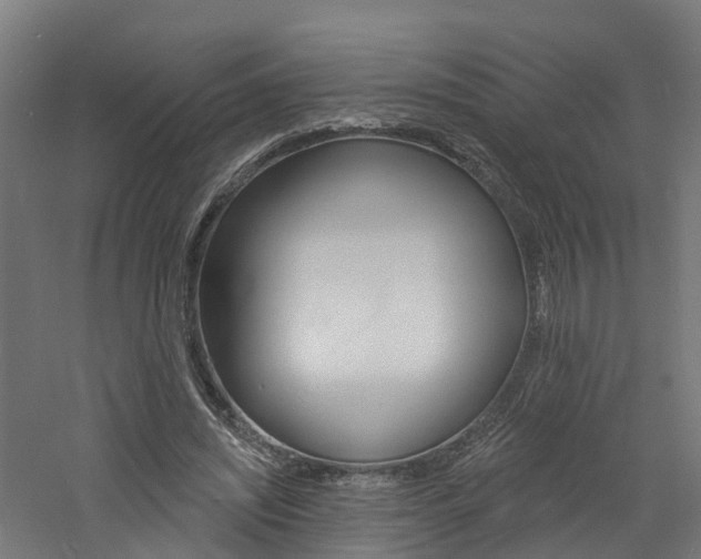 X0000060790444200511101038