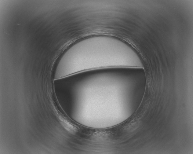 X0000060790445200511101038