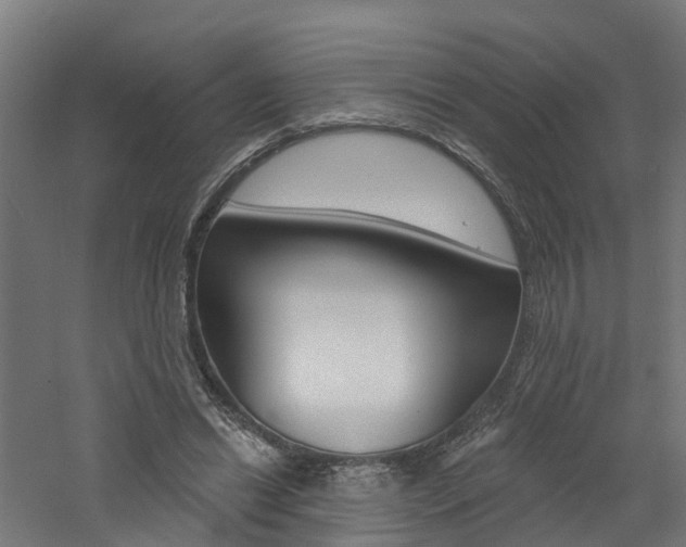 X0000060790446200511101038