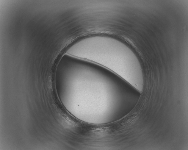 X0000060790447200511101038