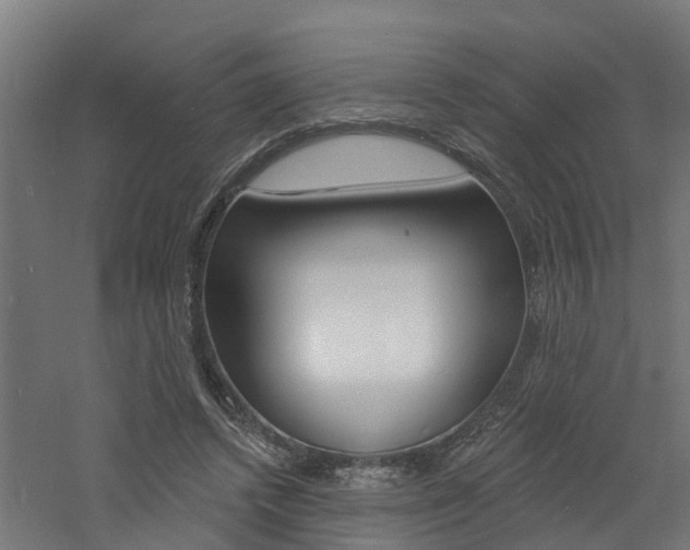 X0000060790448200511101038