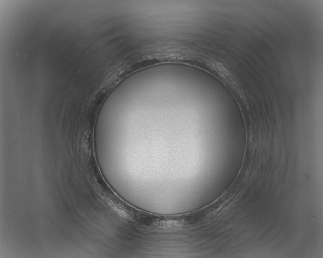 X0000060790449200511101038