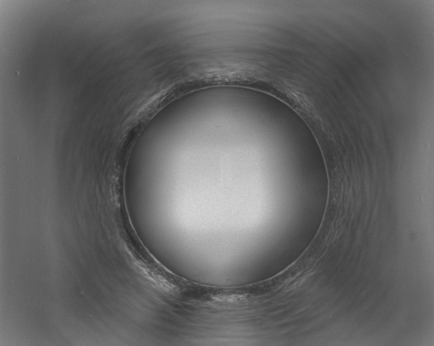 X0000060790450200511101038