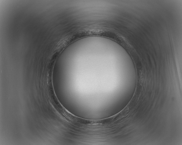 X0000060790451200511101038