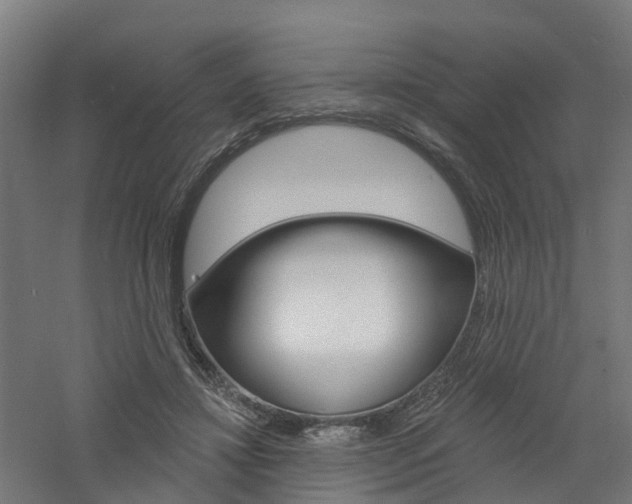 X0000060790452200511101038