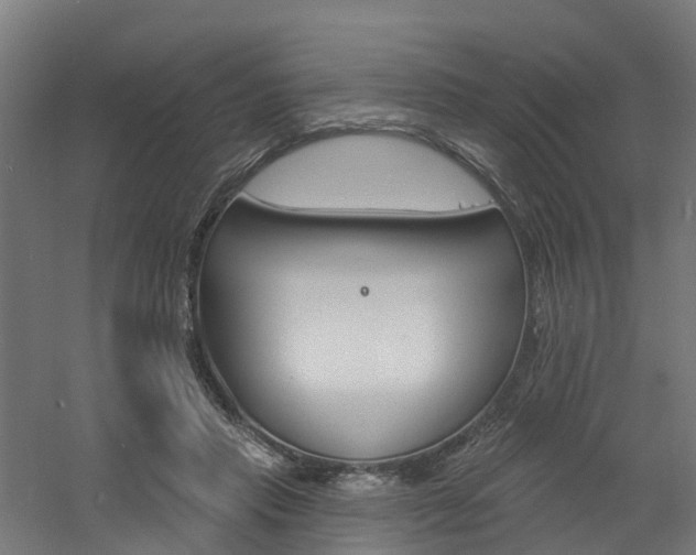 X0000060790453200511101038