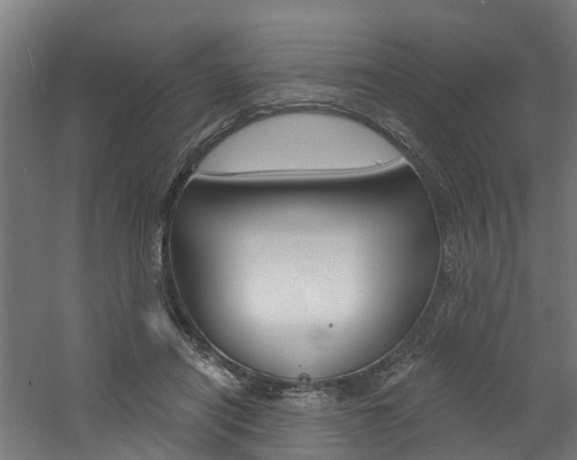 X0000060790454200511101038